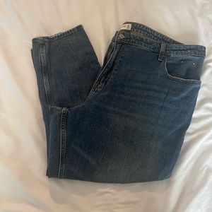 Abercrombie & Fitch Curve Love High Rise